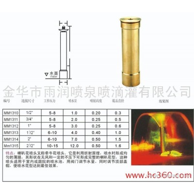 供应雨润DN40喇叭花喷泉喷头(又名牵牛花喷头)