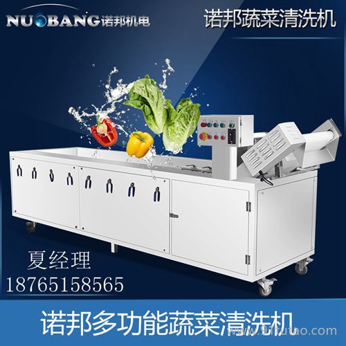 诺邦NK-320羊栖菜清洗机 气泡冲浪喷淋洗菜机 水产蔬菜加工清洗生产流水线