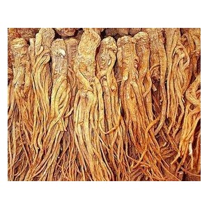 求购当归.防风.桔梗.丹参.黄芪.太子参.板蓝根.麦冬