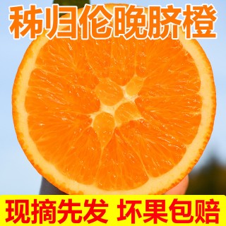 【鲸货源】秭归伦晚甜橙（3斤小果）