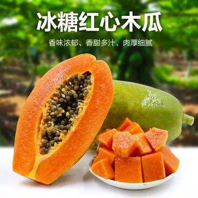 雷州冰糖木瓜 广东特产当季青皮红心牛奶木瓜3-4个装 新鲜水果现摘